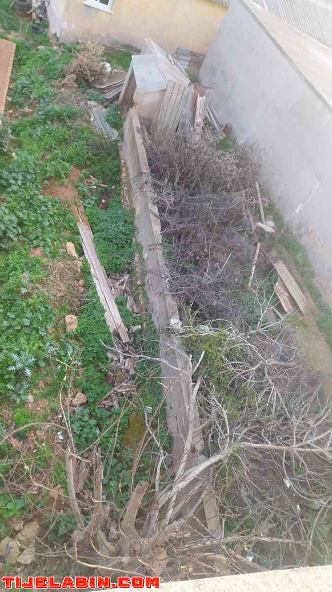 دار عرب للبيع - Khemisti, Tipaza - Tijelabin