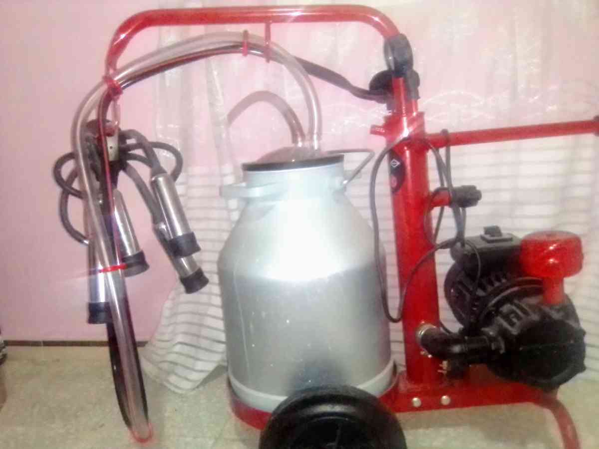 آلة لحلب البقر - Alger Centre, Alger