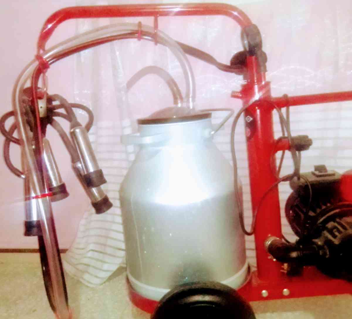 آلة لحلب البقر - Alger Centre, Alger - Tijelabin