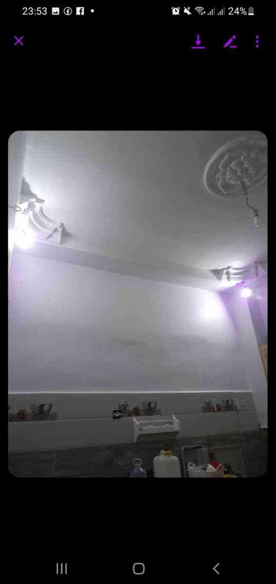 Maisan de maiter - Sidi Chami, Oran - Tijelabin