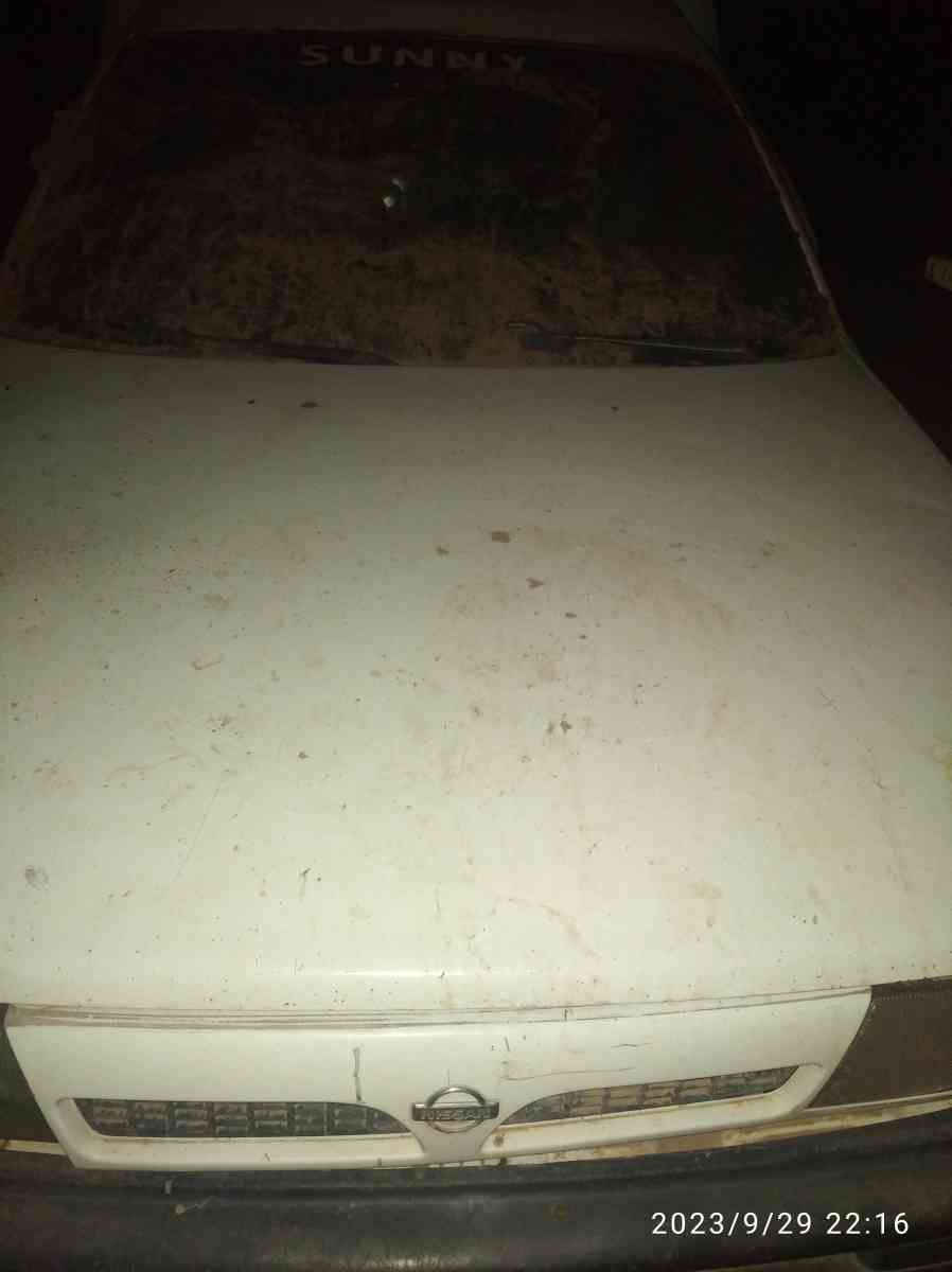 Nissan Sunny 1994 - Ain Defla, Ain Defla - Tijelabin