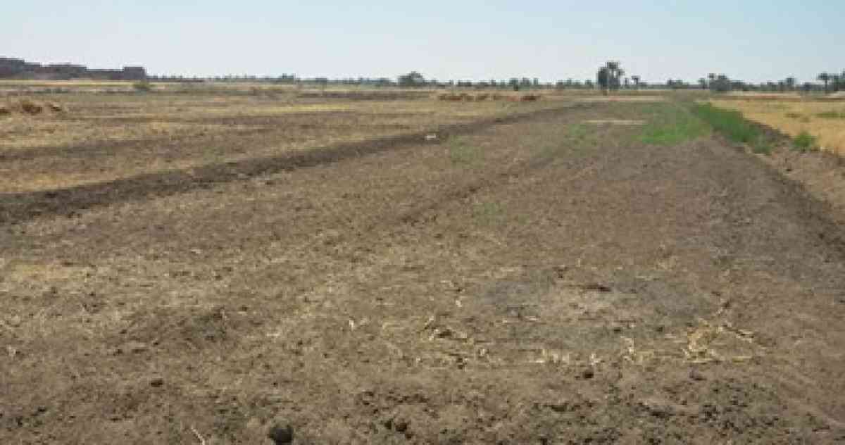 ارض فلاحية - Ain Fekka, Djelfa