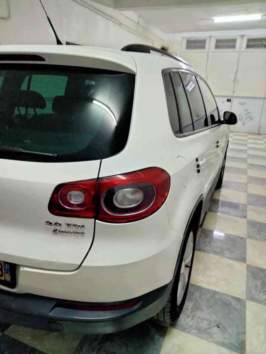 Tiguan تيقوان - Ain Oulmane, Setif - Tijelabin