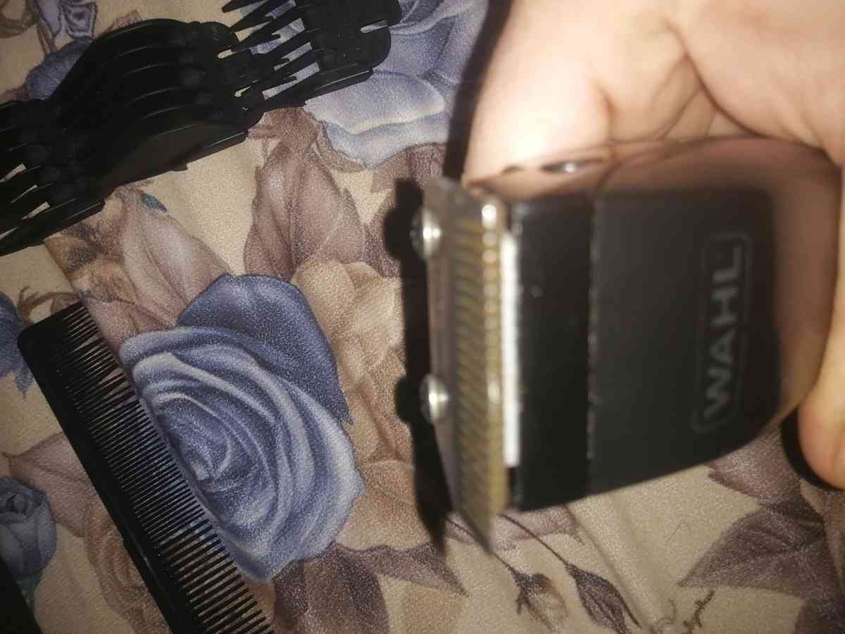 tondeuse - Alger Centre, Alger - Tijelabin