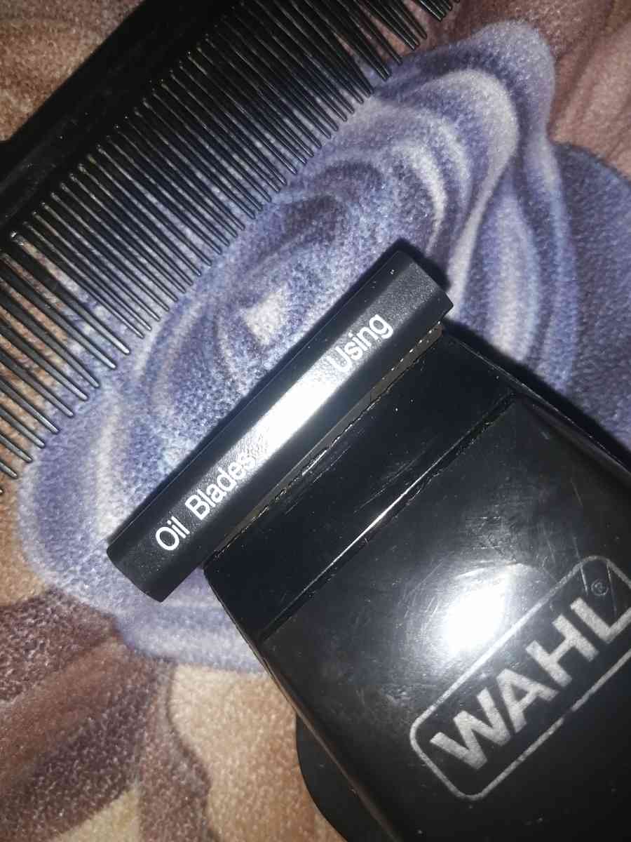 tondeuse - Alger Centre, Alger - Tijelabin