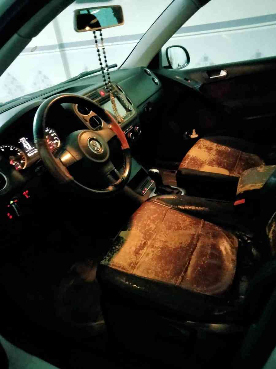 Tiguan تيقوان - Ain Oulmane, Setif - Tijelabin