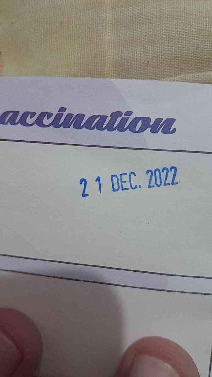 hasky - Alger Centre, Alger - Tijelabin