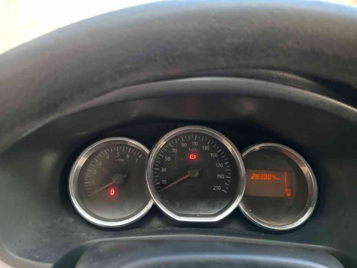 Dasia sandiro - Tebessa, Tbessa - Tijelabin