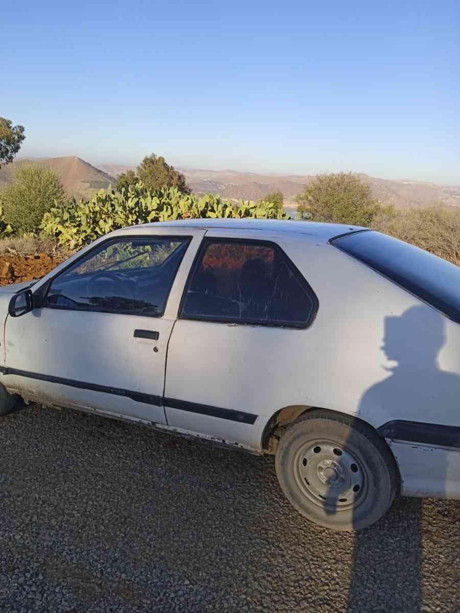 رونو 19 - Ammi Moussa, Relizane