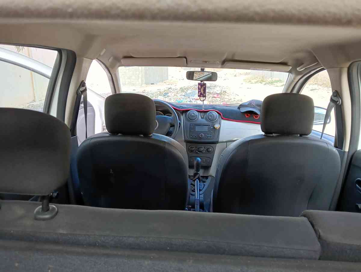 Dasia sandiro - Tebessa, Tbessa - Tijelabin