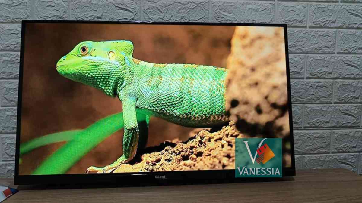 Tlviseur Gant 32 Pouces simple - Alger Centre, Alger - Tijelabin