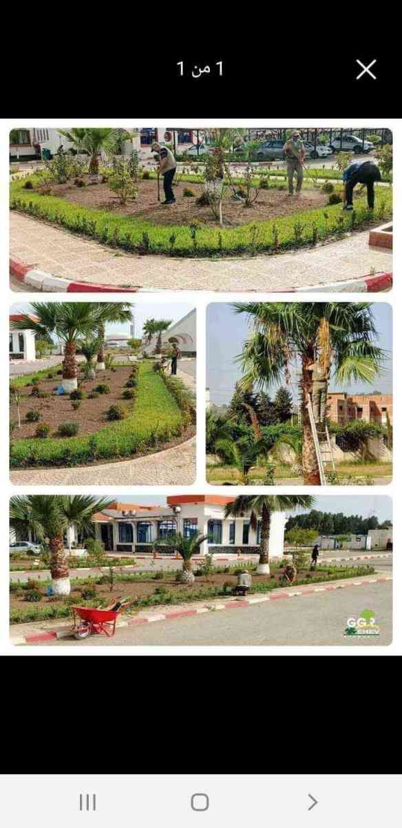 حدائق - Alger Centre, Alger - Tijelabin