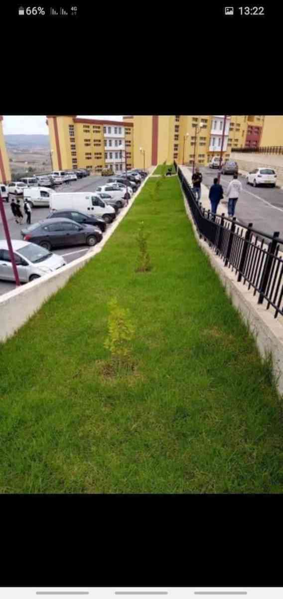 المساحات الخضراء - Alger Centre, Alger - Tijelabin