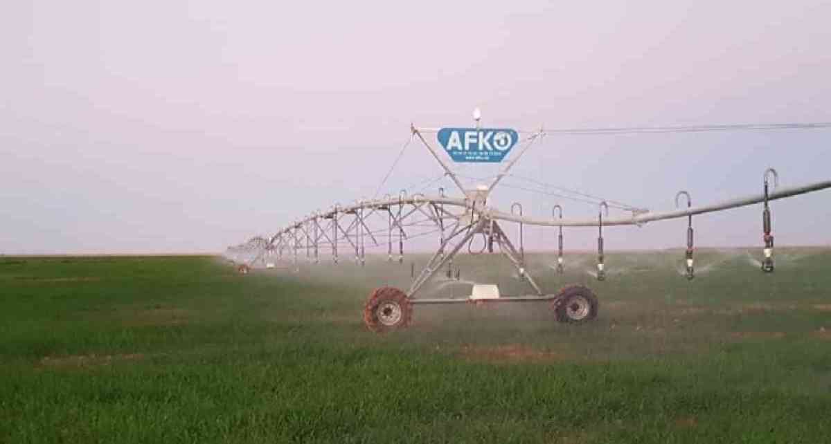 بيفو مع لبومبة ولارموار وكل مستلزماتو