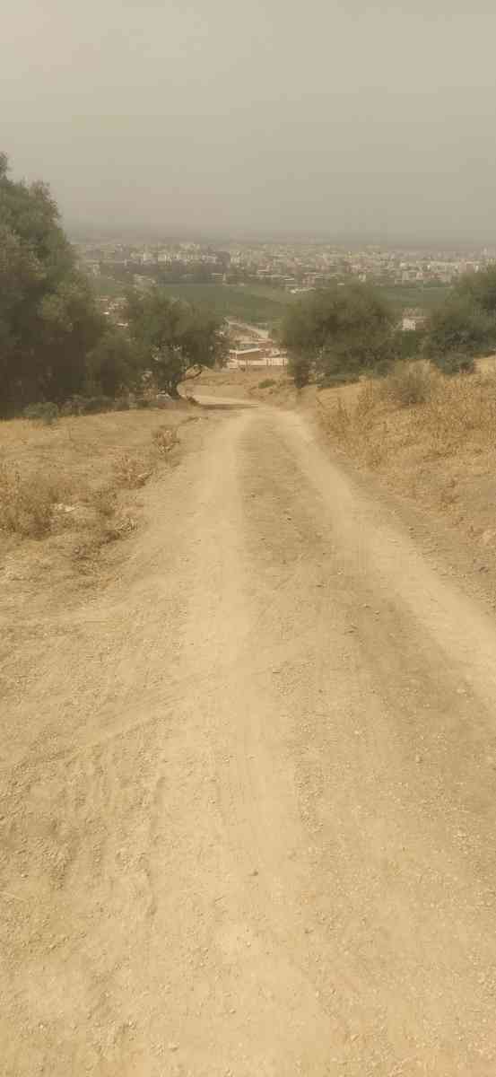 قطعة ارض - Bougara, Blida - Tijelabin