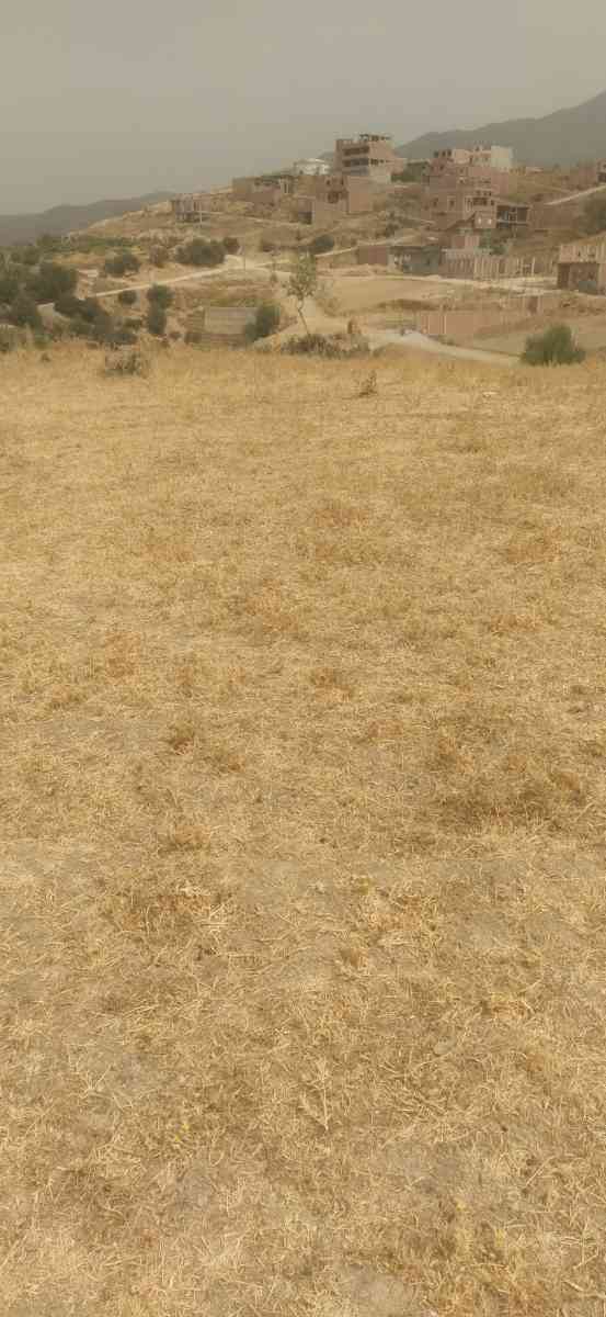 قطعة ارض - Bougara, Blida - Tijelabin