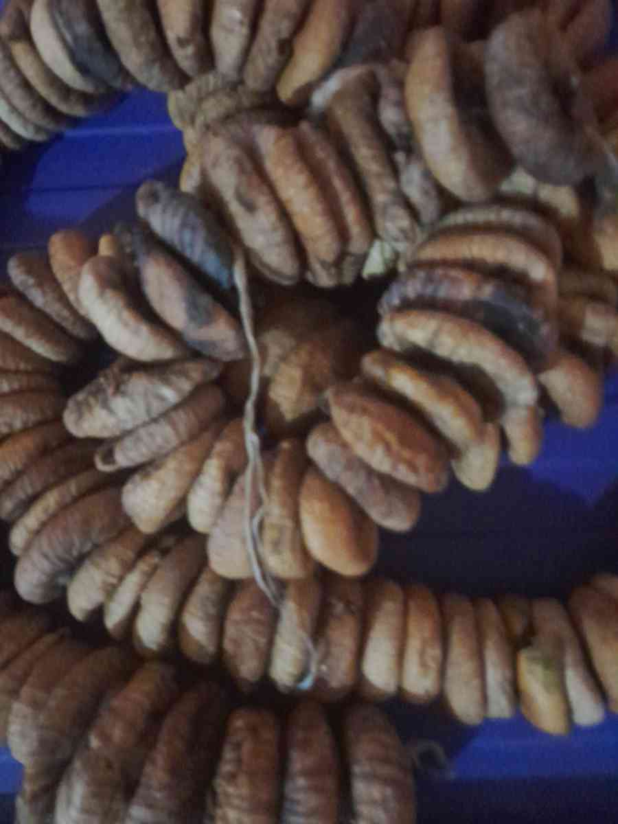 تين مجفف - Sendjas, Chlef - Tijelabin