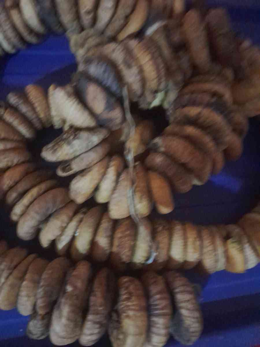 تين مجفف - Sendjas, Chlef - Tijelabin