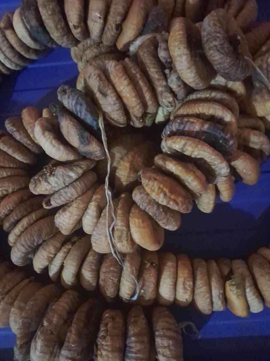 تين مجفف - Sendjas, Chlef - Tijelabin