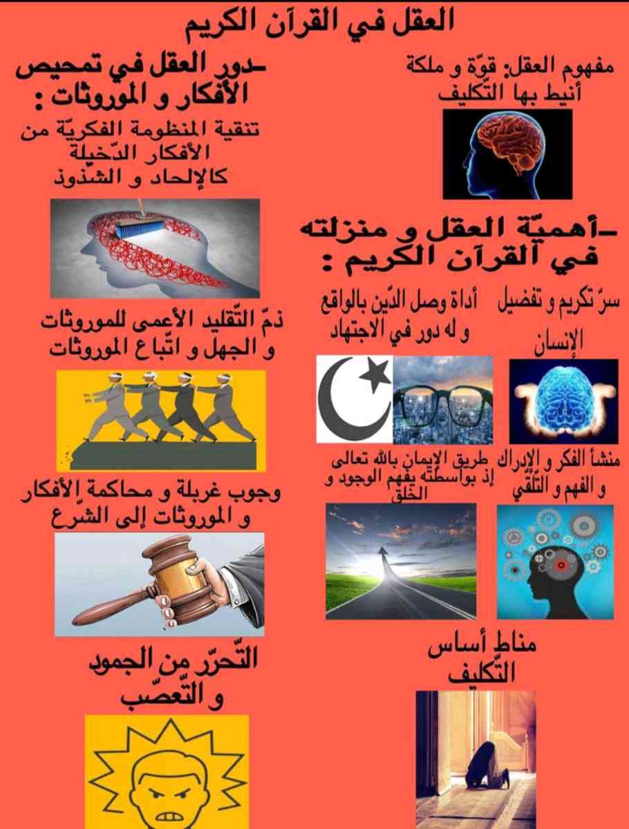 des resumes magnifiques des lecons du bac avec des bons prix - Bordj Bou Arreridj, Bordj Bou Arreridj - Tijelabin