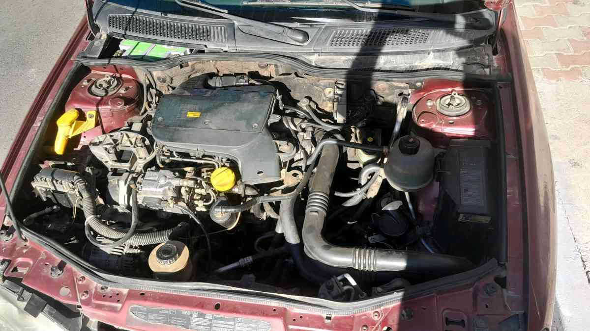 migan brac - Ain Chouhada, Djelfa - Tijelabin