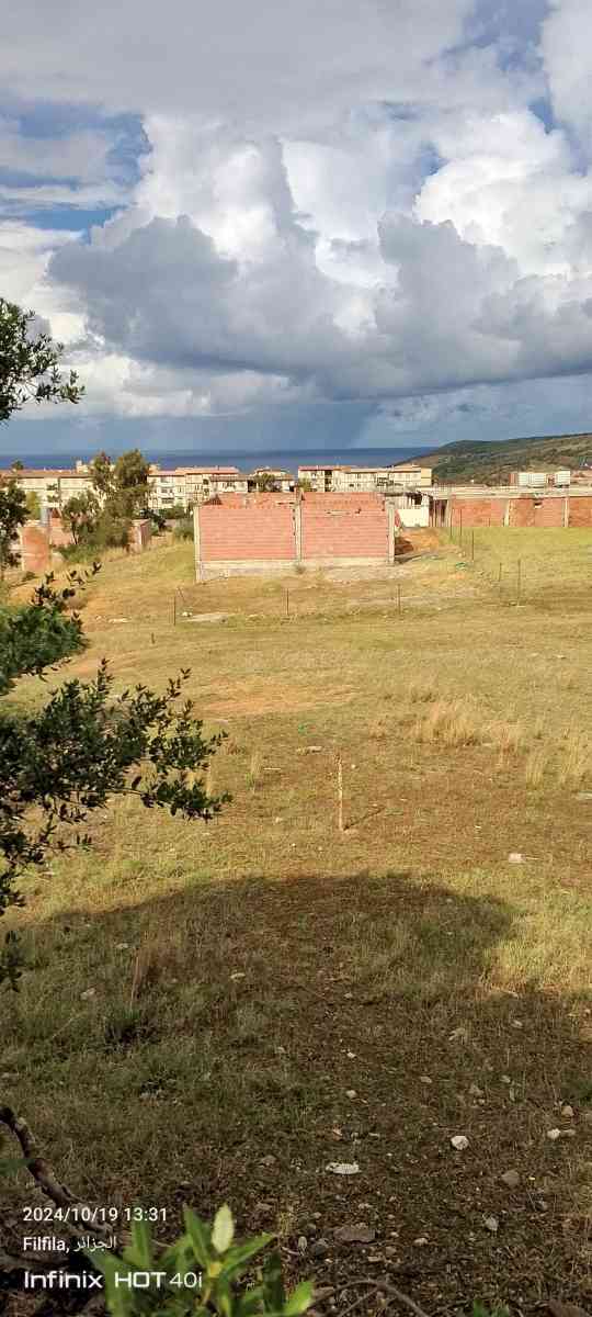 قطعة أرض للبيع - Ain Ben Beida, Guelma - Tijelabin