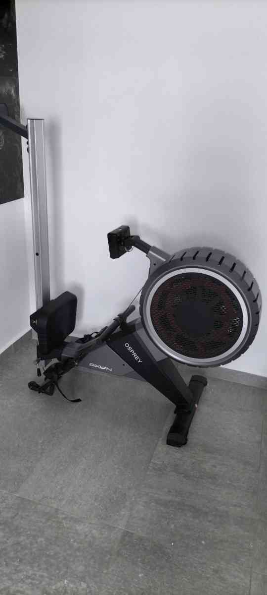 rameur - Alger Centre, Alger - Tijelabin