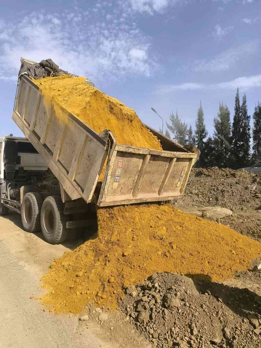 Sable mort tuffe صابل مور بيع تيف - Dar El Beida, Alger