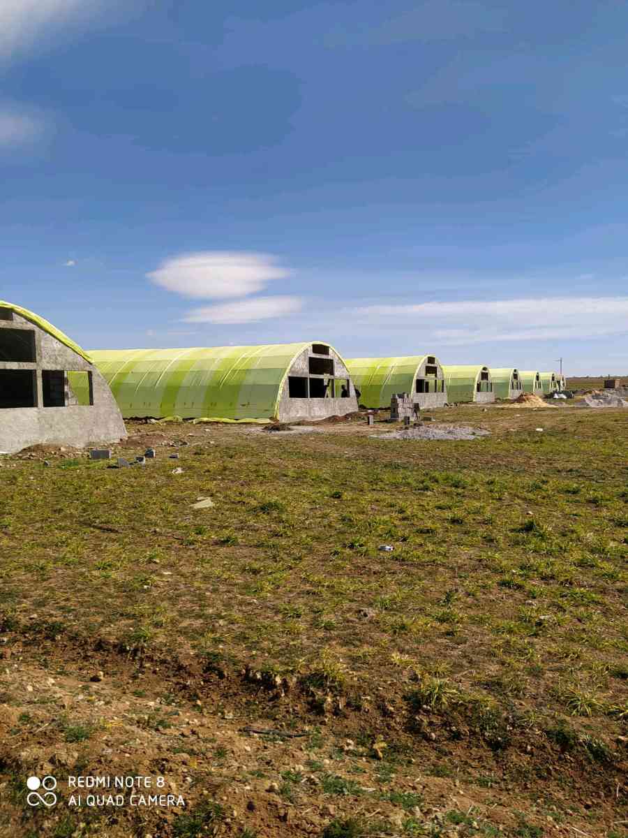 بيع وتركيب البيوت البلاستيكية الخاصة بتربية الدواجن ومعداتها - Alger Centre, Alger - Tijelabin