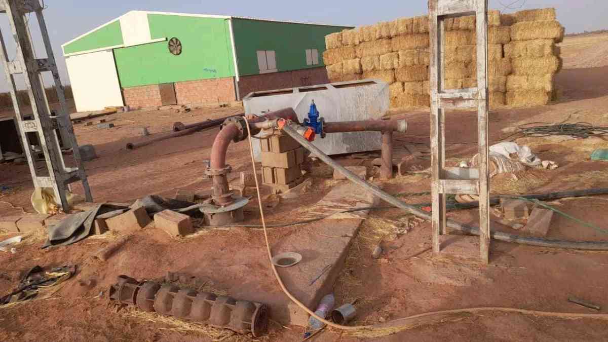 terrain - Alger Centre, Alger - Tijelabin