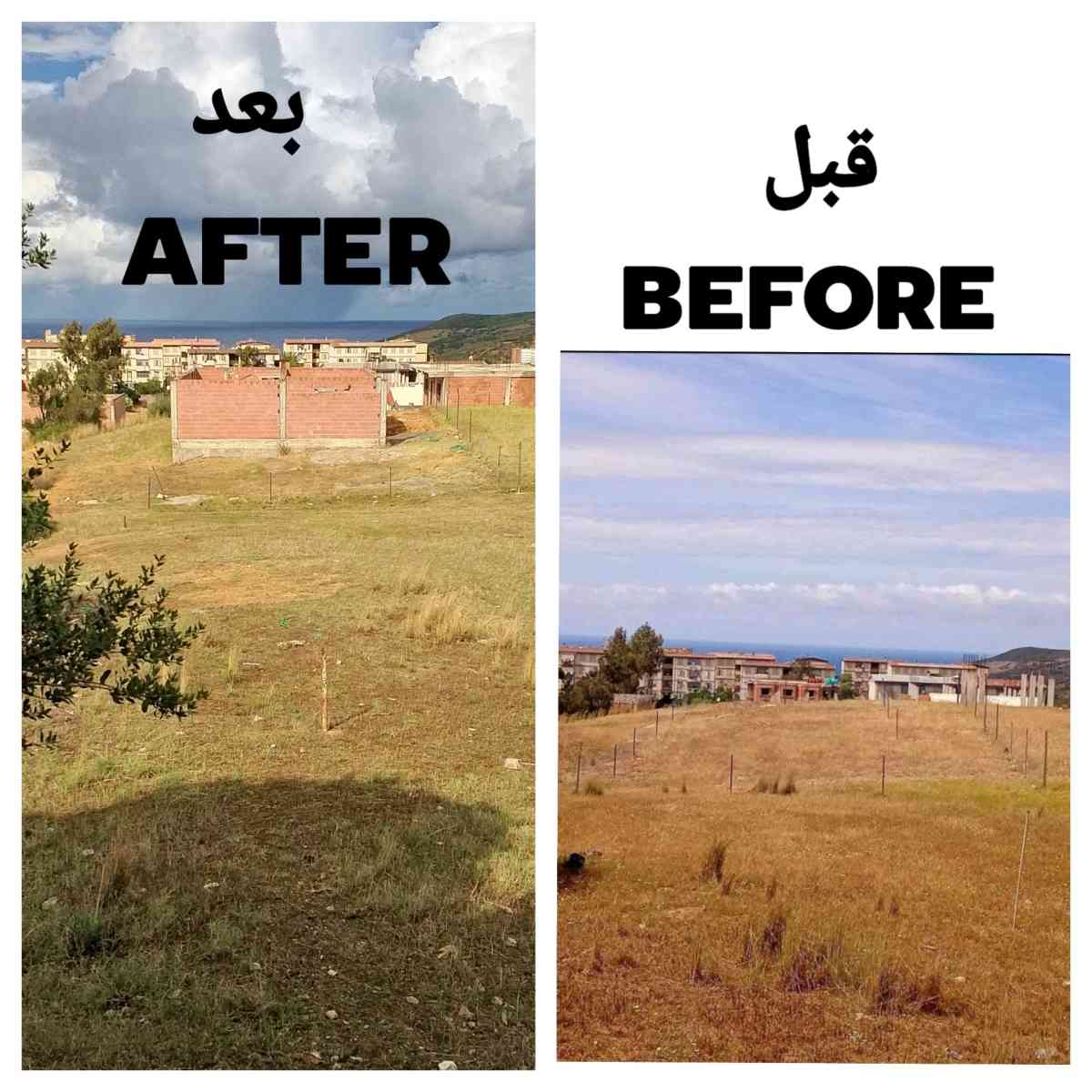 قطعة أرض للبيع - Ain Ben Beida, Guelma - Tijelabin