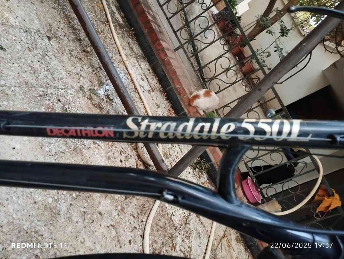 decathlon - Blida, Blida - Tijelabin