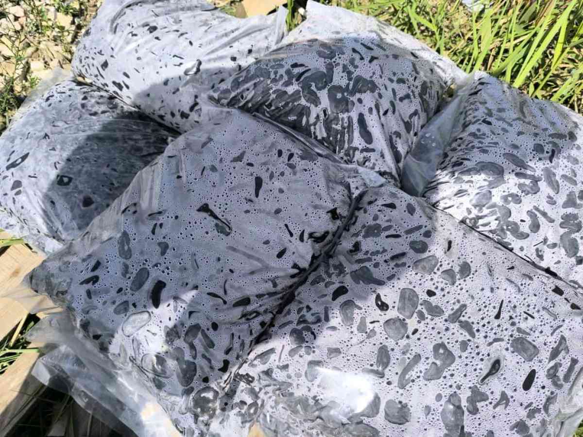 2Galet Marbre Blanc AthenaGallet importationGalet en pierre - Corso, Boumerdes - Tijelabin