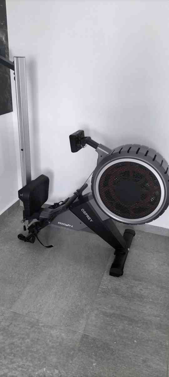 rameur - Alger Centre, Alger - Tijelabin