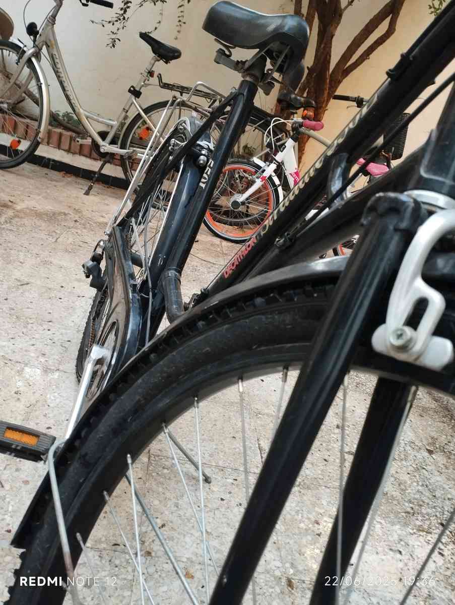 decathlon - Blida, Blida - Tijelabin