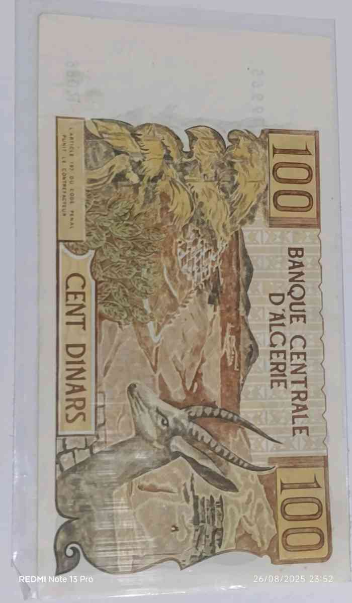 100 da Algrien - Beni Saf, Ain Temouchent - Tijelabin