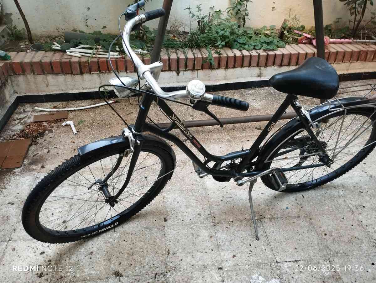 decathlon - Blida, Blida - Tijelabin