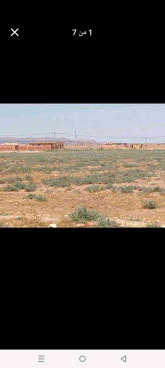 قطعة ارض فلاحية صالحة للبناء - Djelfa, Djelfa