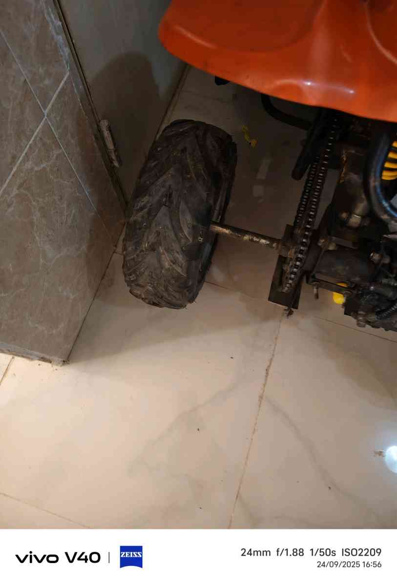 moto quoad - Bouinan, Blida - Tijelabin