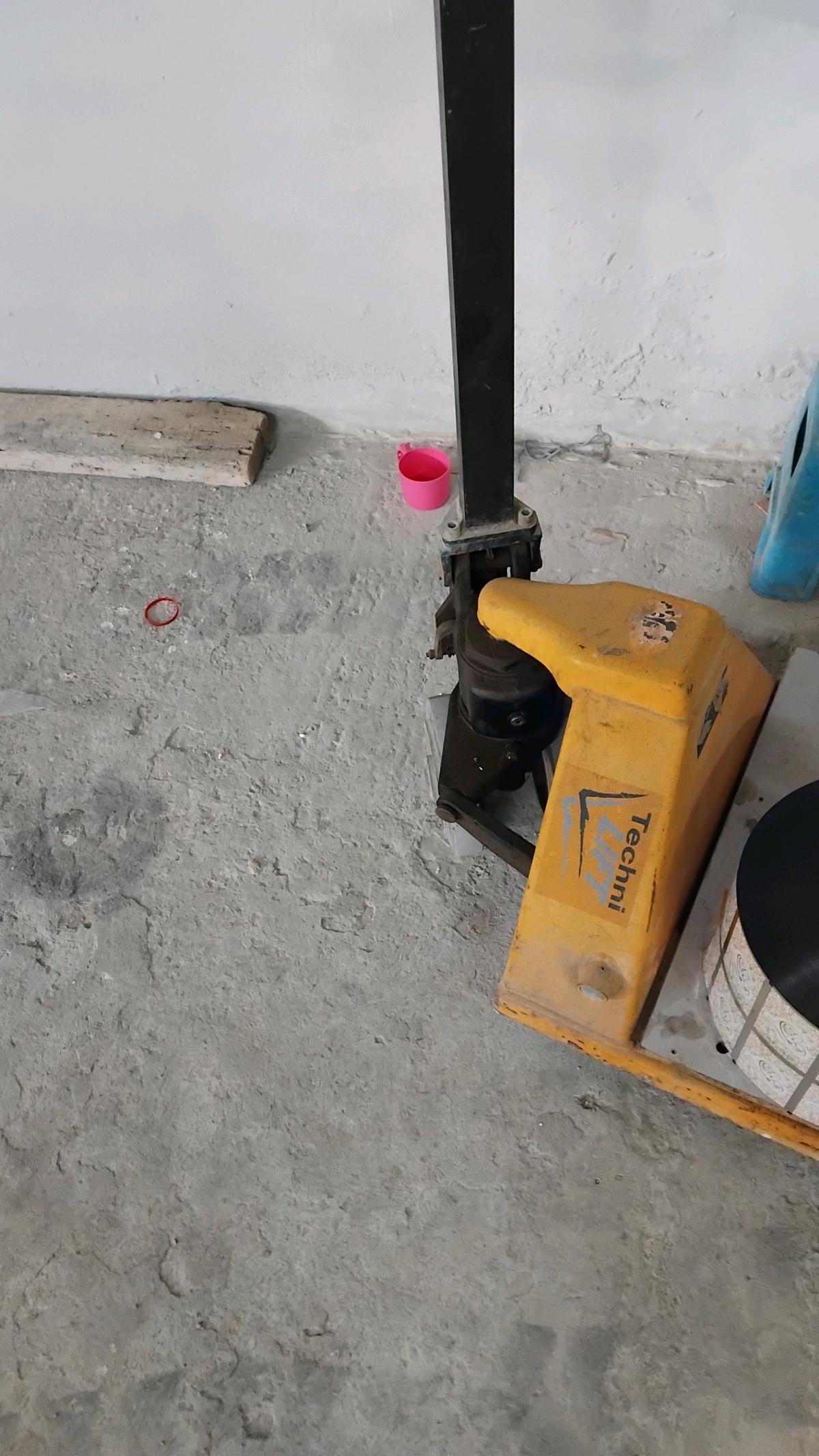 transpalette - Alger Centre, Alger - Tijelabin