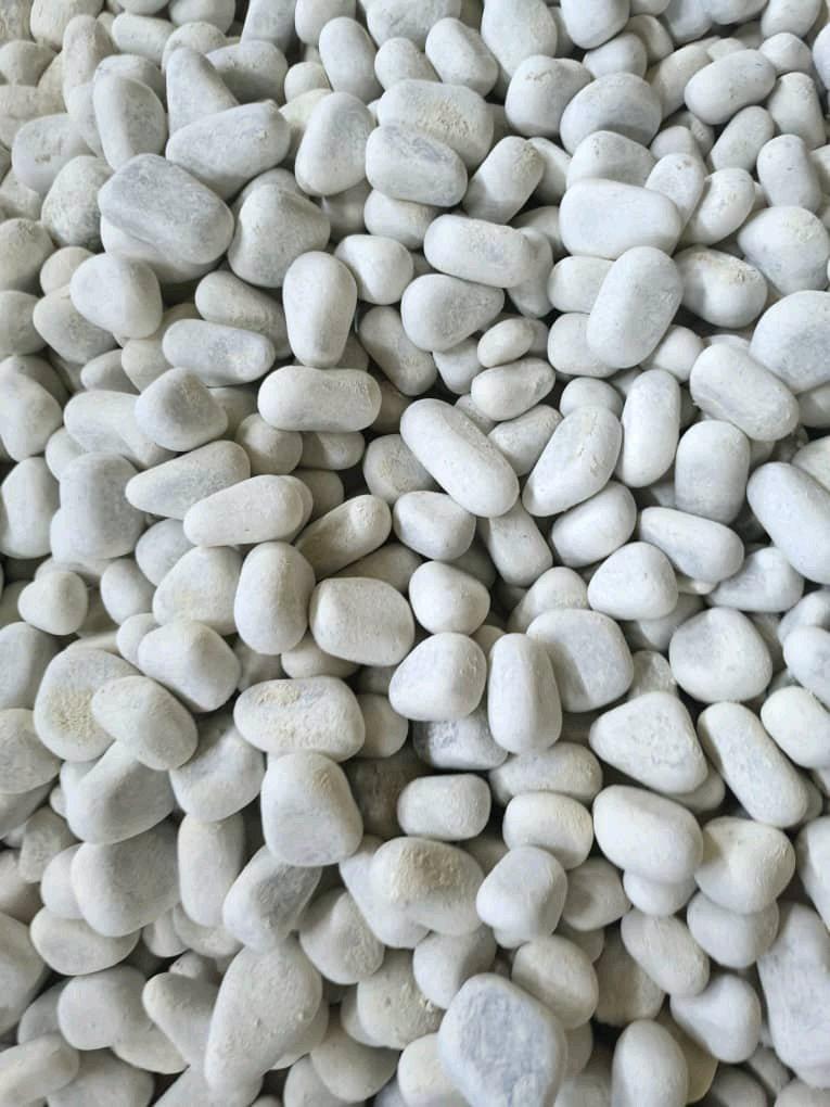 Galet Marbre Blanc AthenaGallet - Ait R'zine, Béjaïa - Tijelabin