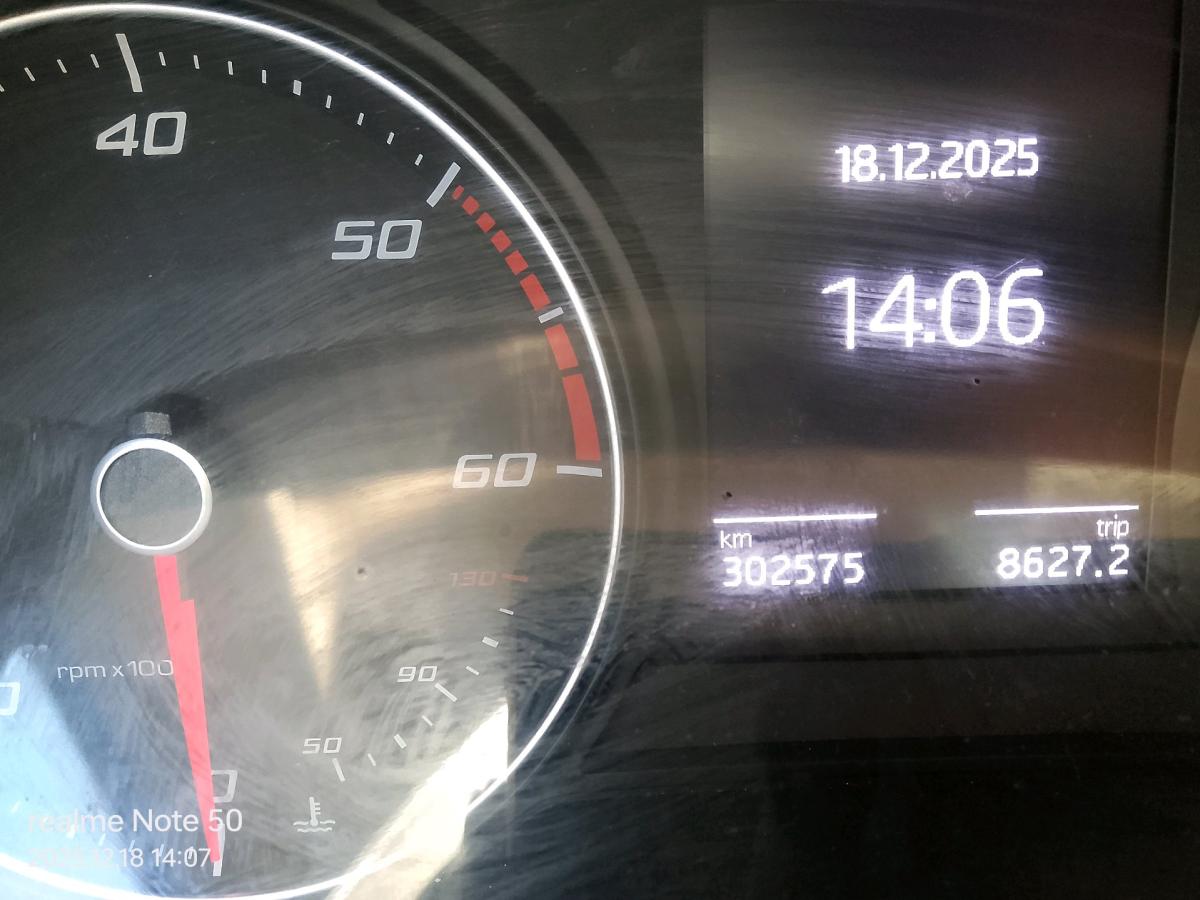 lion fr - Kolea, Tipaza