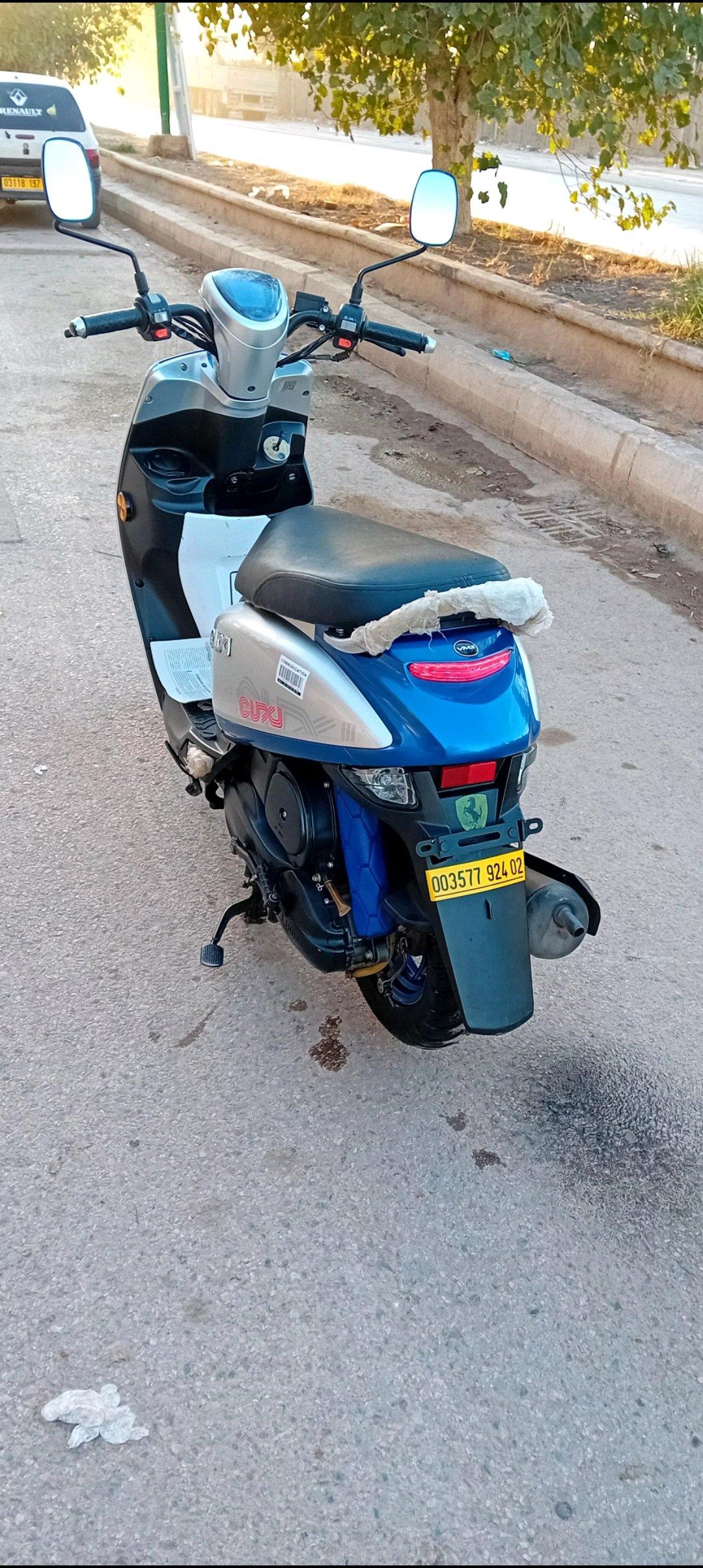 كوكسي 2 2024 - Benairia, Chlef - Tijelabin