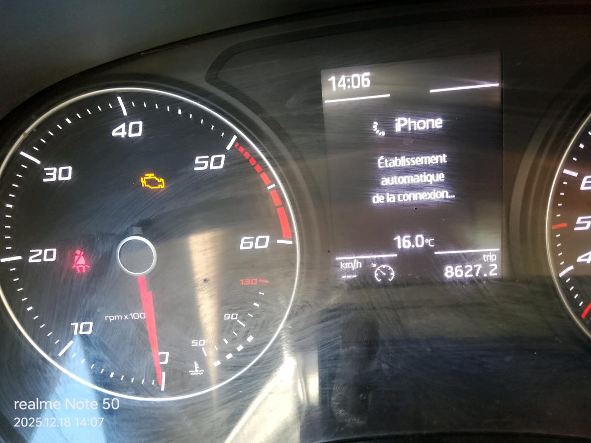 lion fr - Kolea, Tipaza - Tijelabin