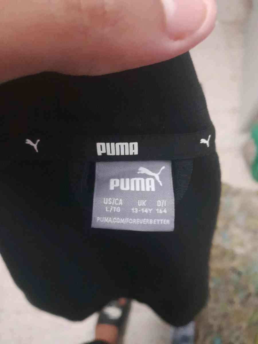 ensemble puma ty 13 14 - Alger Centre, Alger