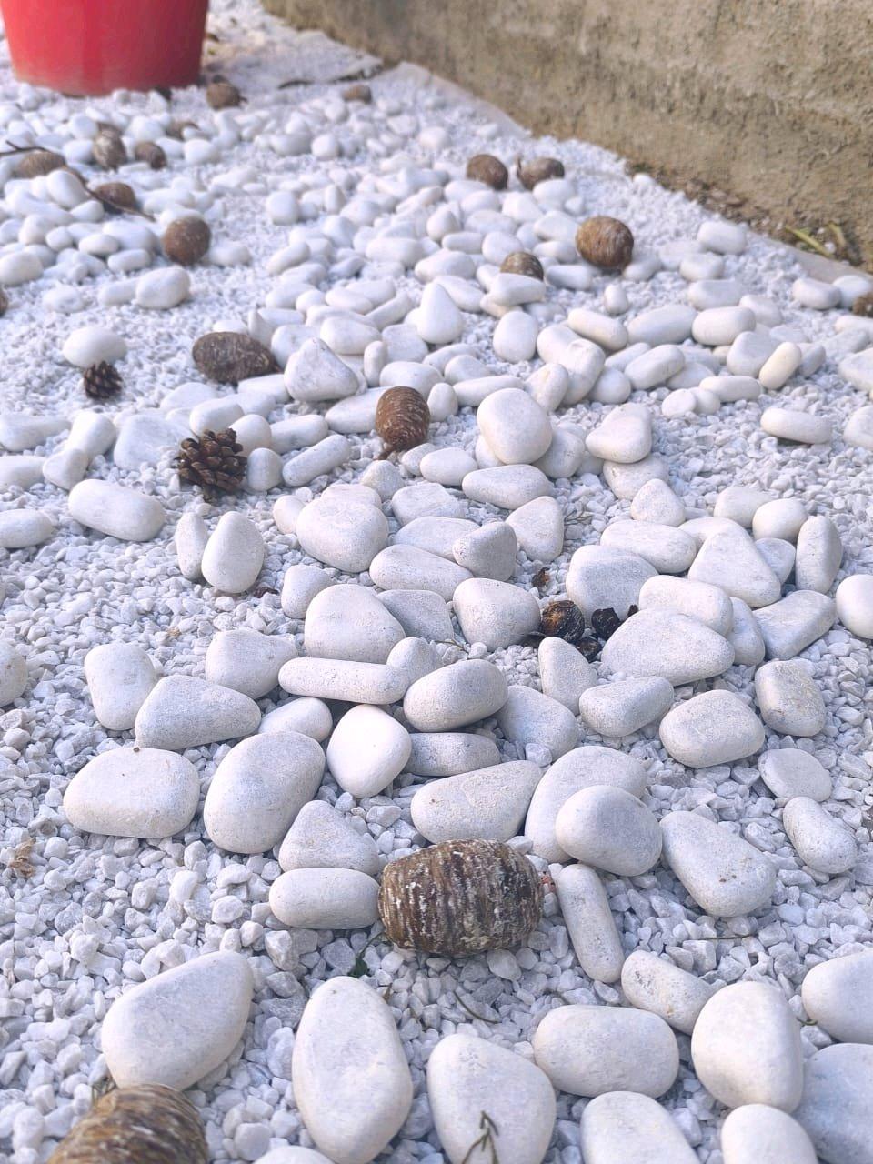 Galet Marbre Blanc AthenaGallet importation num 0550794970