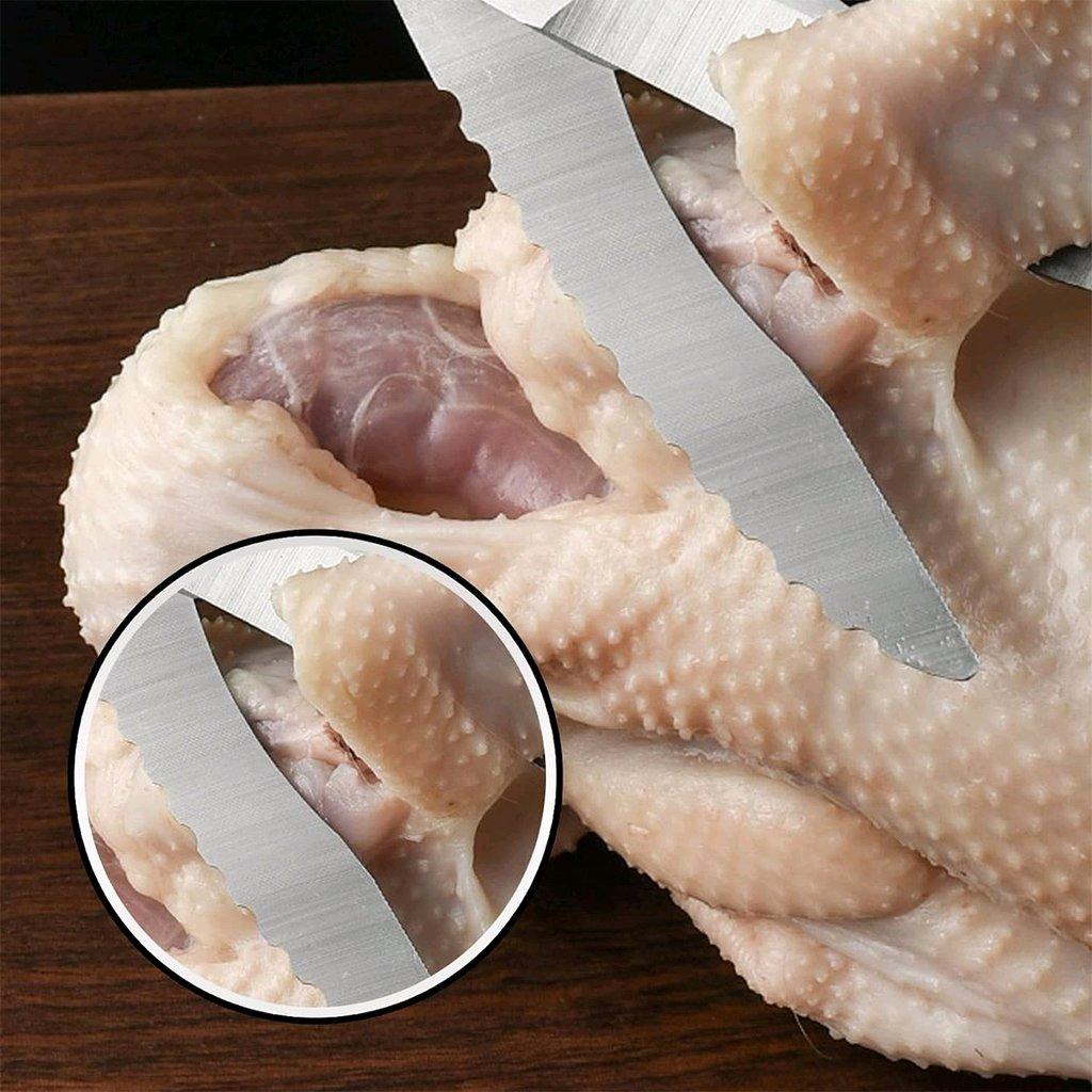 مقص تقطيع اللحوم - Alger Centre, Alger - Tijelabin