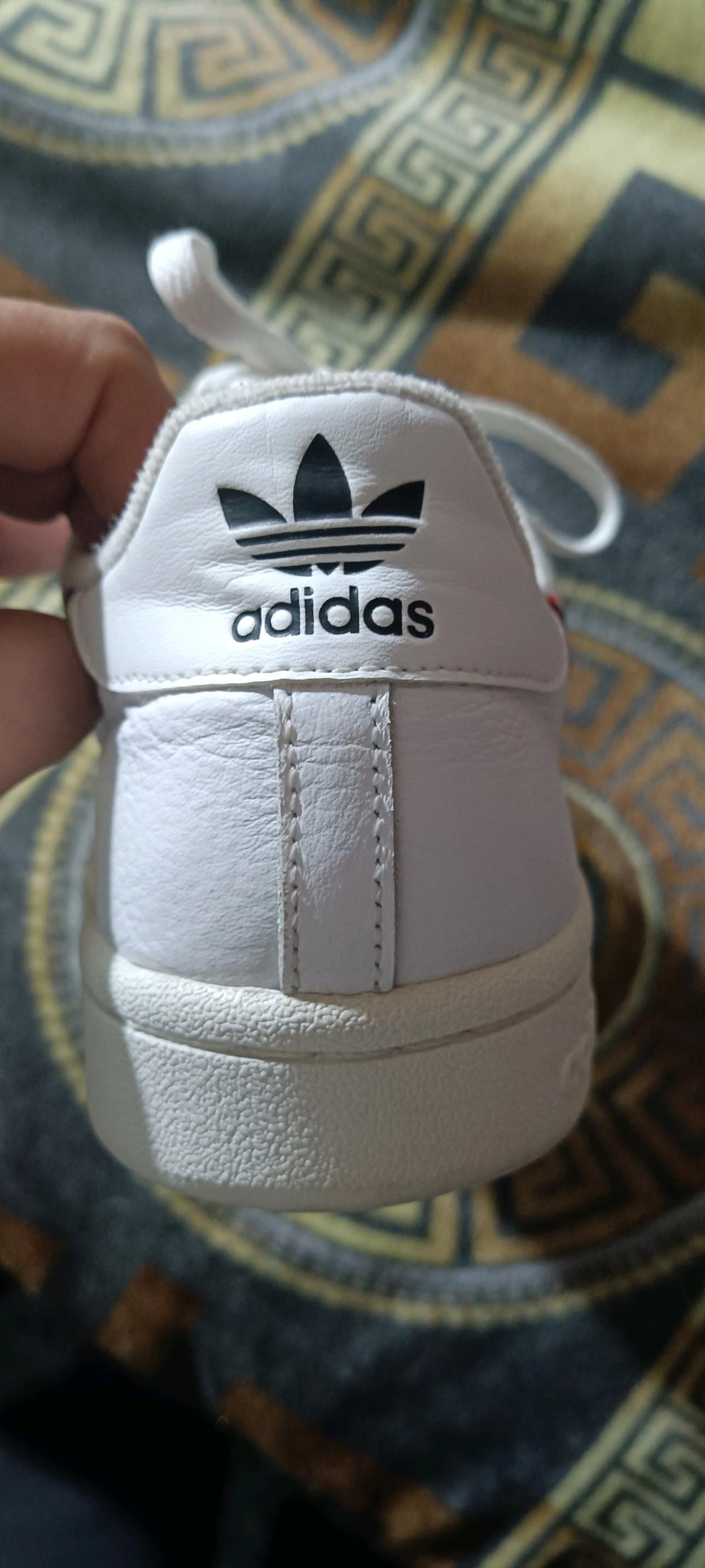 basket homme - Abadla, Bechar - Tijelabin