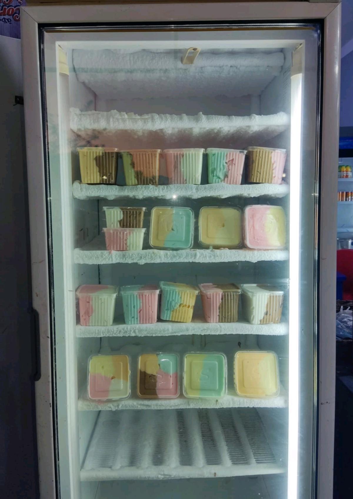 Conglateur vertical vitr professionnel - Tlemcen, Tlemcen - Tijelabin