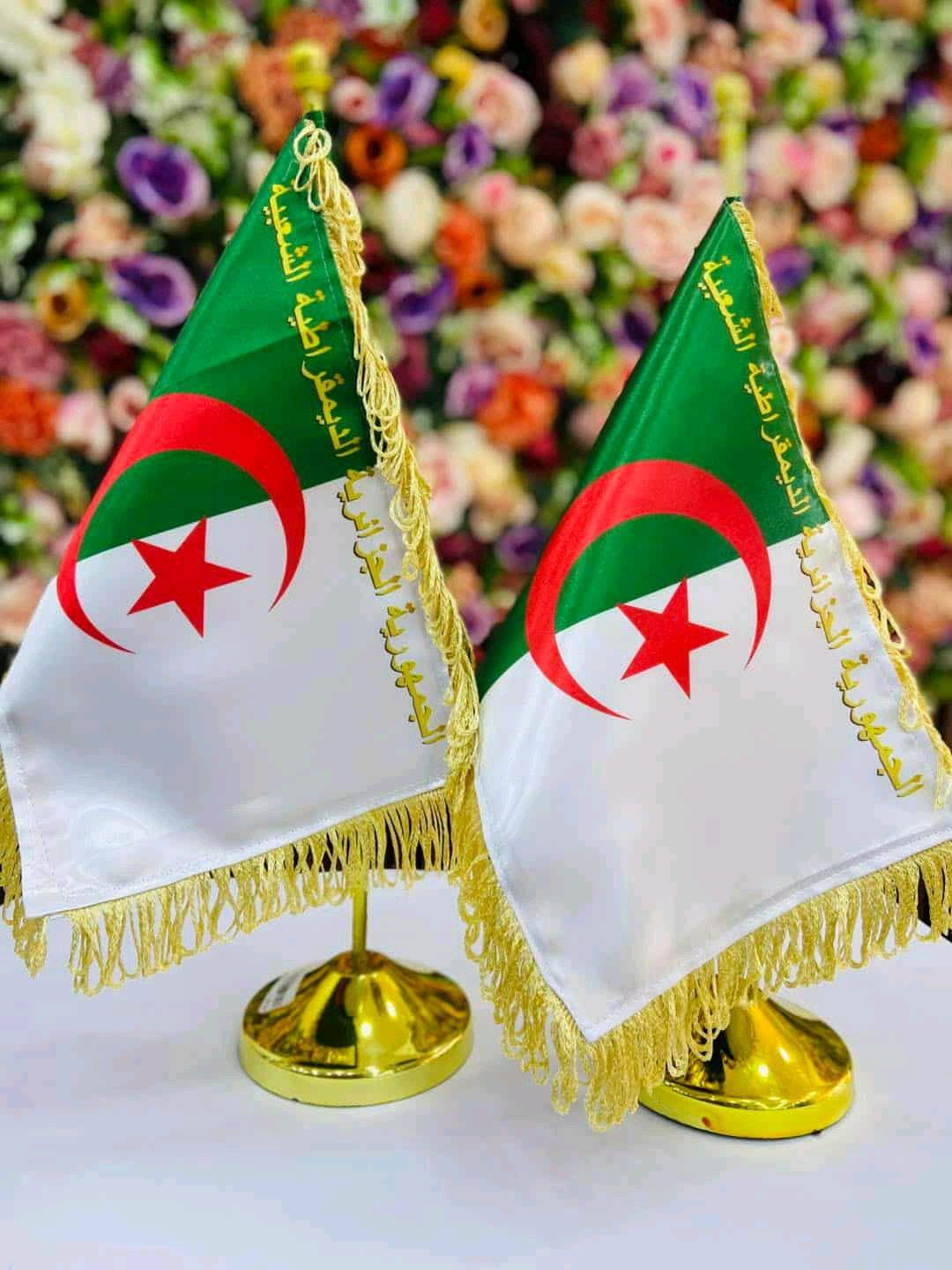 حامل العلم الوطني - Sidi Lakhdar, Ain Defla - Tijelabin